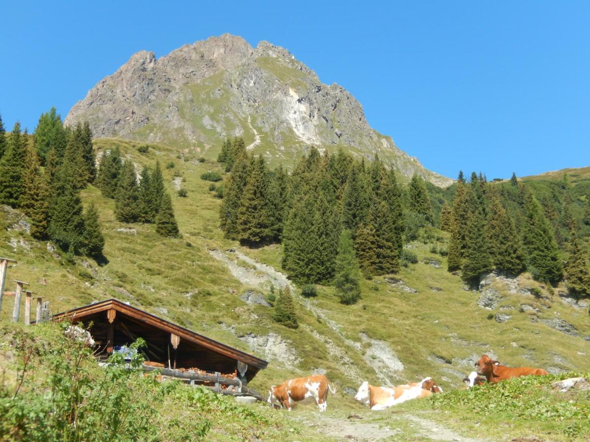 Ff Appartements Bramberg am Wildkogel Kültér fotó